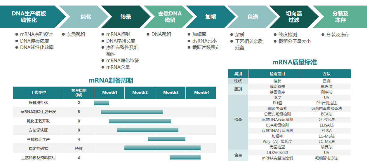 mRNA CDMO服務概述